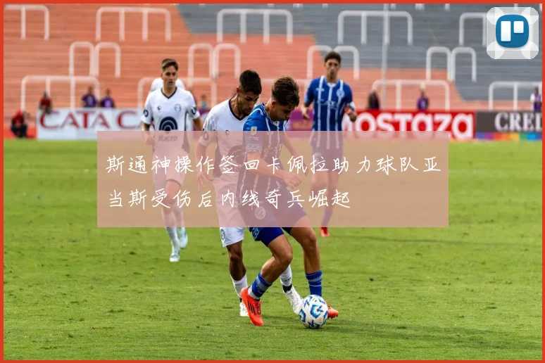 斯通神操作签回卡佩拉助力球队亚当斯受伤后内线奇兵崛起